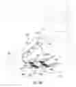 Fig. 11 - Automatic lacing system