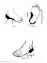 Fig. 02 - Orthotic Devices and Methods of Manufacture