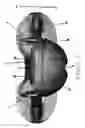Fig. 04 - Frog Fishing Lure and Method of Use