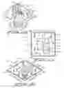Fig. 07 - Plant package and methods of forming same using a thermoplastic flower pot
