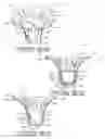 Fig. 09 - Plant package and methods of forming same using a thermoplastic flower pot
