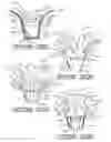 Fig. 12 - Plant package and methods of forming same using a thermoplastic flower pot