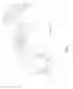 Fig. 02 - Apparatus for boxing fruit