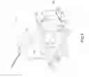 Fig. 03 - Apparatus for boxing fruit