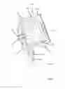 Fig. 04 - Washing machine with a removable basket