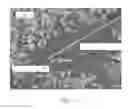 Fig. 04 - Providing Plastic Zone Extrusion