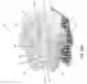 Fig. 47 - Heating system