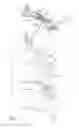 Fig. 04 - Violin shoulder cradle