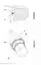 Fig. 15 - Remote setting for electronic systems in a projectile for chambered ammunition