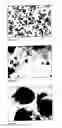 Fig. 05 - Starch foils and/or films and a method and use of a device for the production thereof