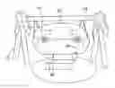 Fig. 01 - Pet Swing