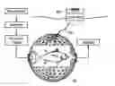 Fig. 01 - Automated open ocean fish farm structures and systems for open ocean fish farming