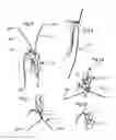 Fig. 04 - HORSE HAIR BRAIDING DEVICE AND METHOD