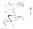 Fig. 22 - TRAINING GUIDANCE SYSTEM FOR CANINES, FELINES, OR OTHER ANIMALS