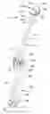 Fig. 01 - Ball thrower