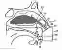 Fig. 01 - Nasal devices