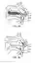 Fig. 16 - Nasal devices