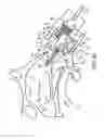 Fig. 29 - Nasal devices
