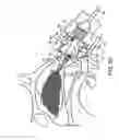 Fig. 31 - Nasal devices