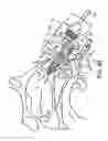 Fig. 35 - Nasal devices