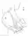 Fig. 03 - Blank for a head restraint