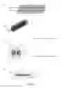 Fig. 03 - Mascara brush