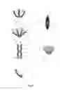 Fig. 10 - Mascara brush
