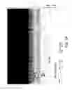 Fig. 04 - ELECTRICAL CONTACTS FOR SKUTTERUDITE THERMOELECTRIC MATERIALS
