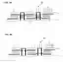 Fig. 04 - DYE-SENSITIZED SOLAR CELL MODULE