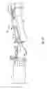 Fig. 10 - APPARATUS AND METHOD FOR LINING A PIPE JUNCTION