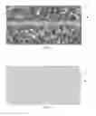 Fig. 02 - Decorative welding rod for surface coverings