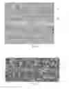 Fig. 03 - Decorative welding rod for surface coverings