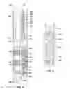 Fig. 07 - Configurable inserts for downhole plugs