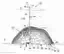 Fig. 01 - Apparatus and method for capping an underwater oil well