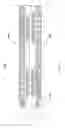 Fig. 20 - Electronic assemblies without solder and methods for their manufacture