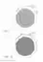 Fig. 07 - High pressure drop muffling system