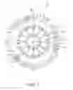 Fig. 02 - CLUTCH COVER ASSEMBLY