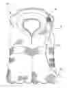 Fig. 01 - Flotation device safety light switch