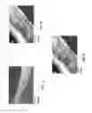 Fig. 04 - Electrophoretic formation of nanostructured composites