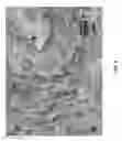 Fig. 05 - Electrophoretic formation of nanostructured composites