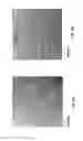 Fig. 06 - Electrophoretic formation of nanostructured composites