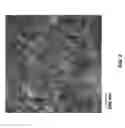 Fig. 07 - Electrophoretic formation of nanostructured composites