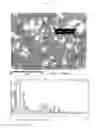 Fig. 08 - METHOD OF FORMING CIGS THIN FILM