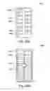 Fig. 15 - Dispenser