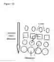 Fig. 17 - Method for continuous particle separation using obstacle arrays asymmetrically aligned to fields