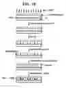 Fig. 19 - MICROFLUIDIC DEVICE FOR CELL SEPARATION AND USES THEREOF