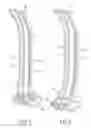 Fig. 06 - CAP-SHAPED OBJECT RACK