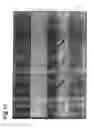Fig. 13 - Laser processing method and chip