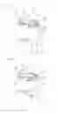 Fig. 06 - Pumping device of fluid container and press button
