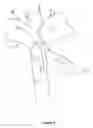 Fig. 03 - Carrier for a Collapsible Chair